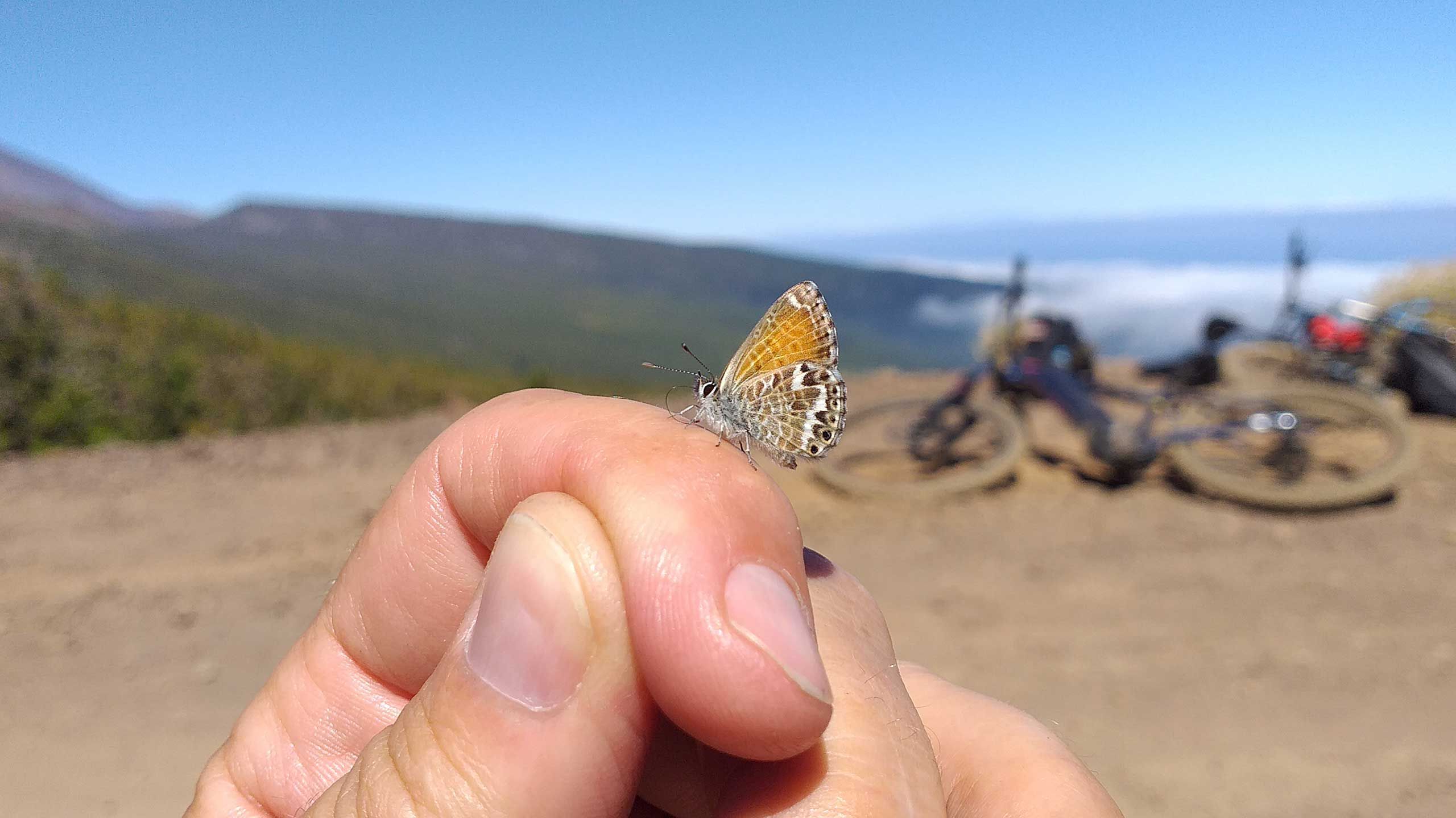 Ride easy with EC RIDER